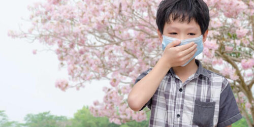 8 Reliable Home Remedies to Effectively Treat Pollen Allergy