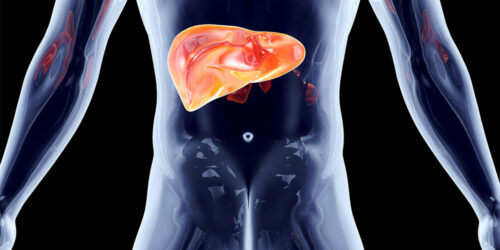 8 lesser-known facts about the liver