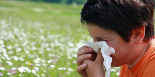 Causes and Precautionary Measures for Watery Eyes from Allergies