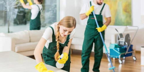 Choose from a plethora of cleaning services