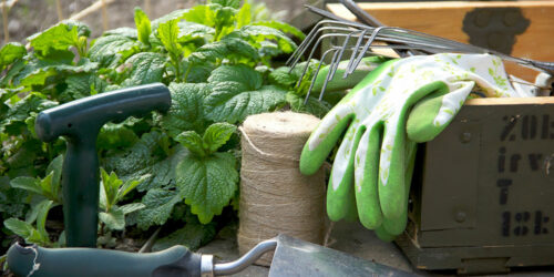 Create a beautiful garden with the right tools and accessories