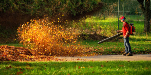 A Brief Guide To Buying A Leaf Blower