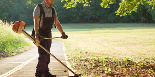 Advantages Of Weed Trimmers