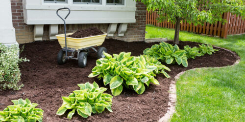 Advantages of buying rubber mulch in bulk