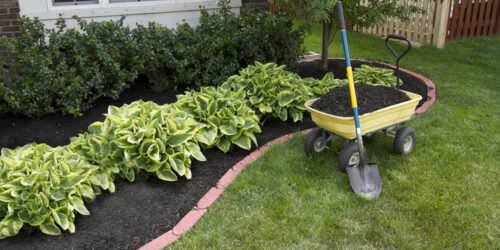 Advantages of rubber mulch