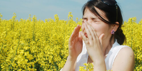 All You Need to Know about Pollen Allergies