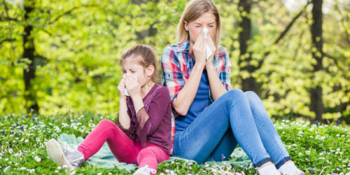 All You Need to Know about Pollen Allergy