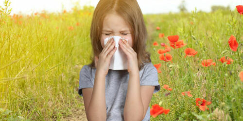 Best Seasonal Allergy Medicines to Keep Allergies at Bay