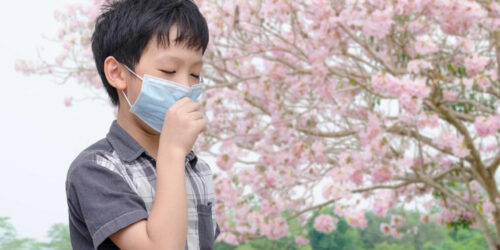 Get Relief from Pollen Allergy Using These Effective Tips