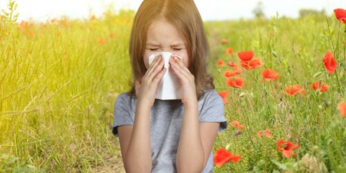 Effective medicines for kids suffering from allergies