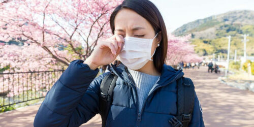 Everything You Need to Know about Pollen Allergy