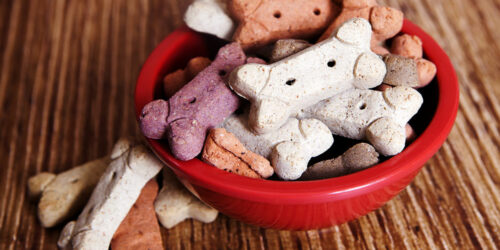 Factors to consider while picking healthy dog food