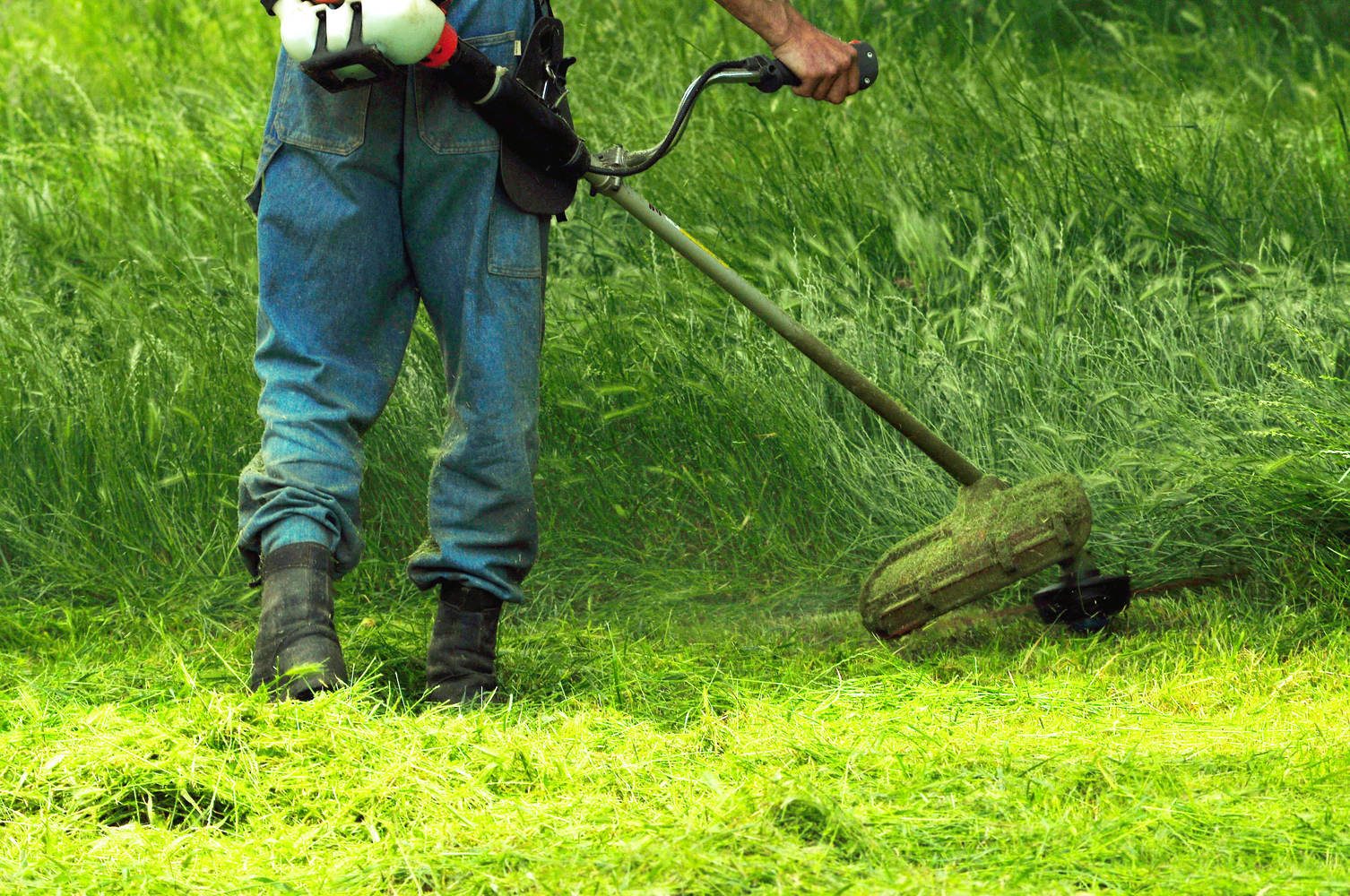 One Step To A Weed-Free Garden