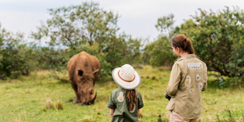 Masai Mara Safari – An Unforgettable Experience