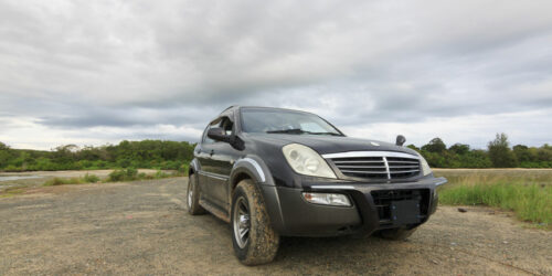 Salient features of the Lincoln MKX