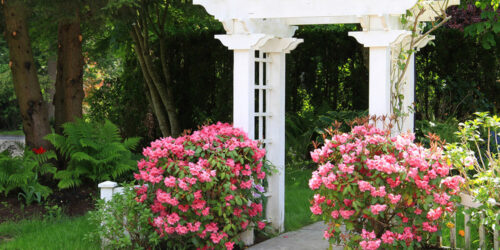 Simple yet effective tips to make a garden arbor