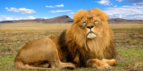 Places to Visit When You Go to Africa