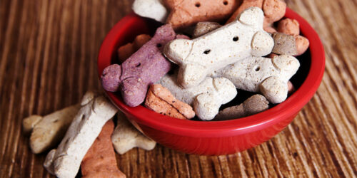 Top 5 best dry pet food brands for dogs