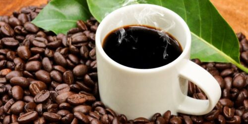 Top dark roast coffee beans in the country