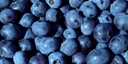 These natural compounds may help prevent skin cancer