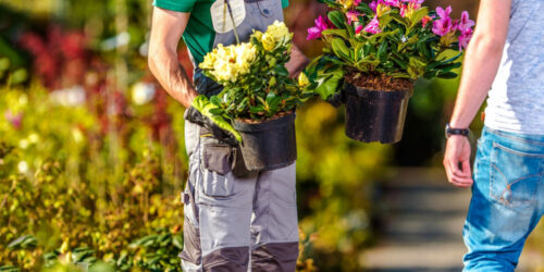 Tips on how to make the most of a garden sale