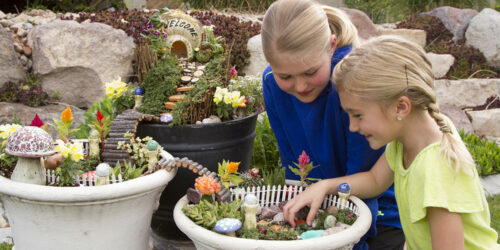 Tips for creating a fairy garden