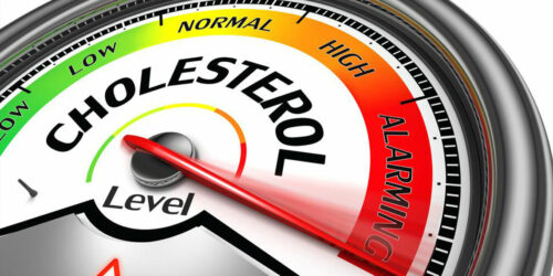 Tips to Manage Your Cholesterol Levels