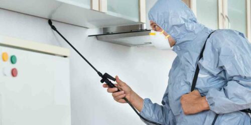 Types of bed bug sprays