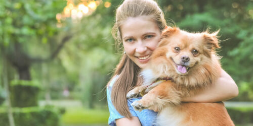 12 Things to Consider During and Before Adopting a Dog