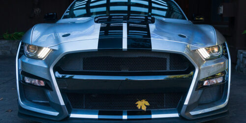 6 Reasons Why the Ford Shelby GT500 is an Iconic Car