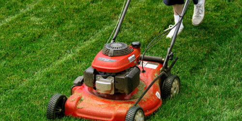 Best Lawn Mower Deals to Check Out this Cyber Monday