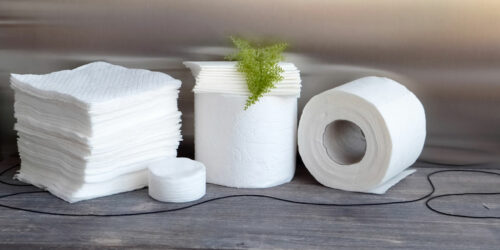 Toilet Paper Coupons to Help You Save More