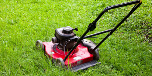 Top 10 Lawn Mower Deals to Expect on Black Friday