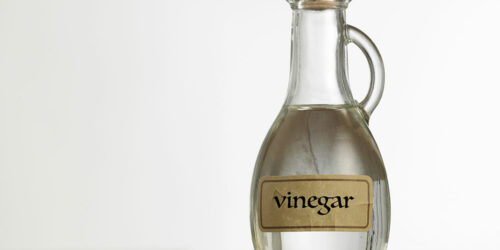 White Vinegar for Ant Control &#8211; How It Works and Ways to Use