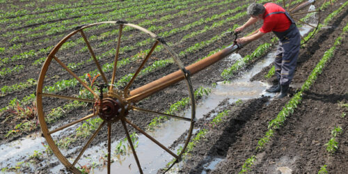 Types of Irrigation Systems and Tips for Installation and Repairs