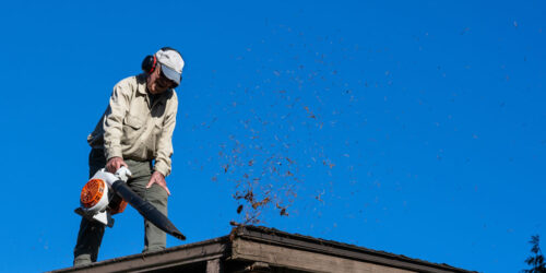 Top 6 Leaf Blowers for Gutter Cleaning