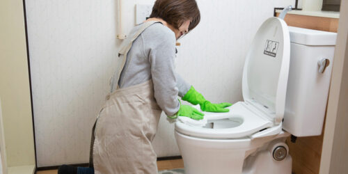 How to Clean a Toilet the Right Way &#8211; 8 Tips to Follow