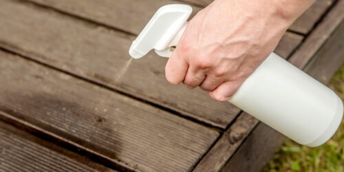 Top 7 Natural Ways to Get Rid of Spiders