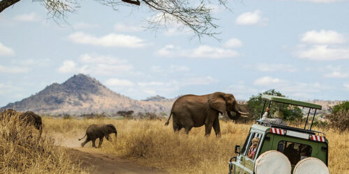 African Safari Packages for Seniors