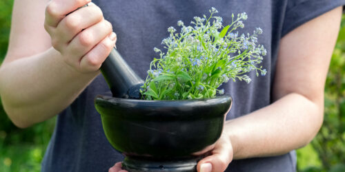 Steps to Grow Herbs Indoors in Water