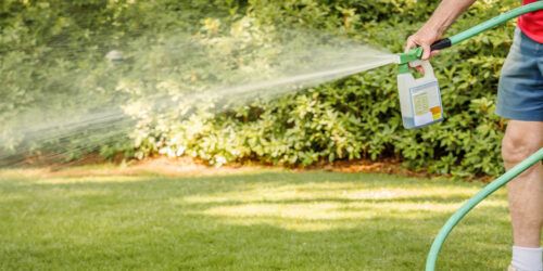 Types of Grass Fertilizers and Tips to Choose the Right One