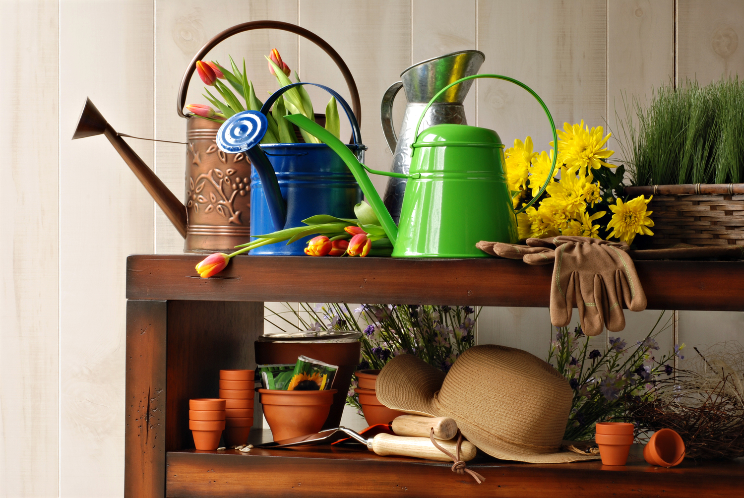 Tips for Choosing the Right Garden Supplies