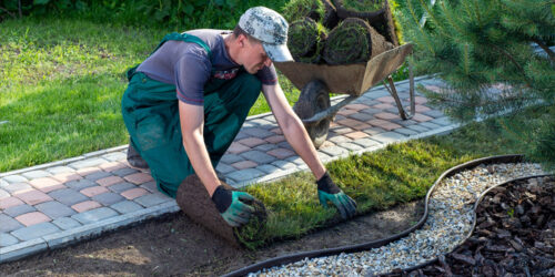 Landscaping Services &#8211; Types, Benefits, and Tips to Consider