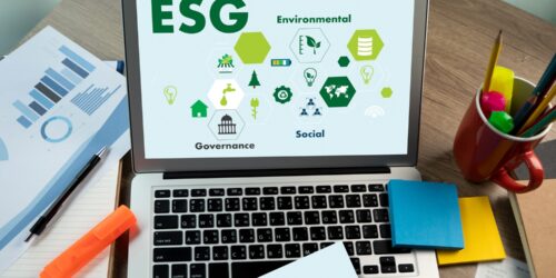 ESG Software for Small Businesses: Tools for Sustainable Growth