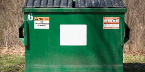 Dumpster Rental: A Complete Guide to Choosing the Right Dumpster for Your Project